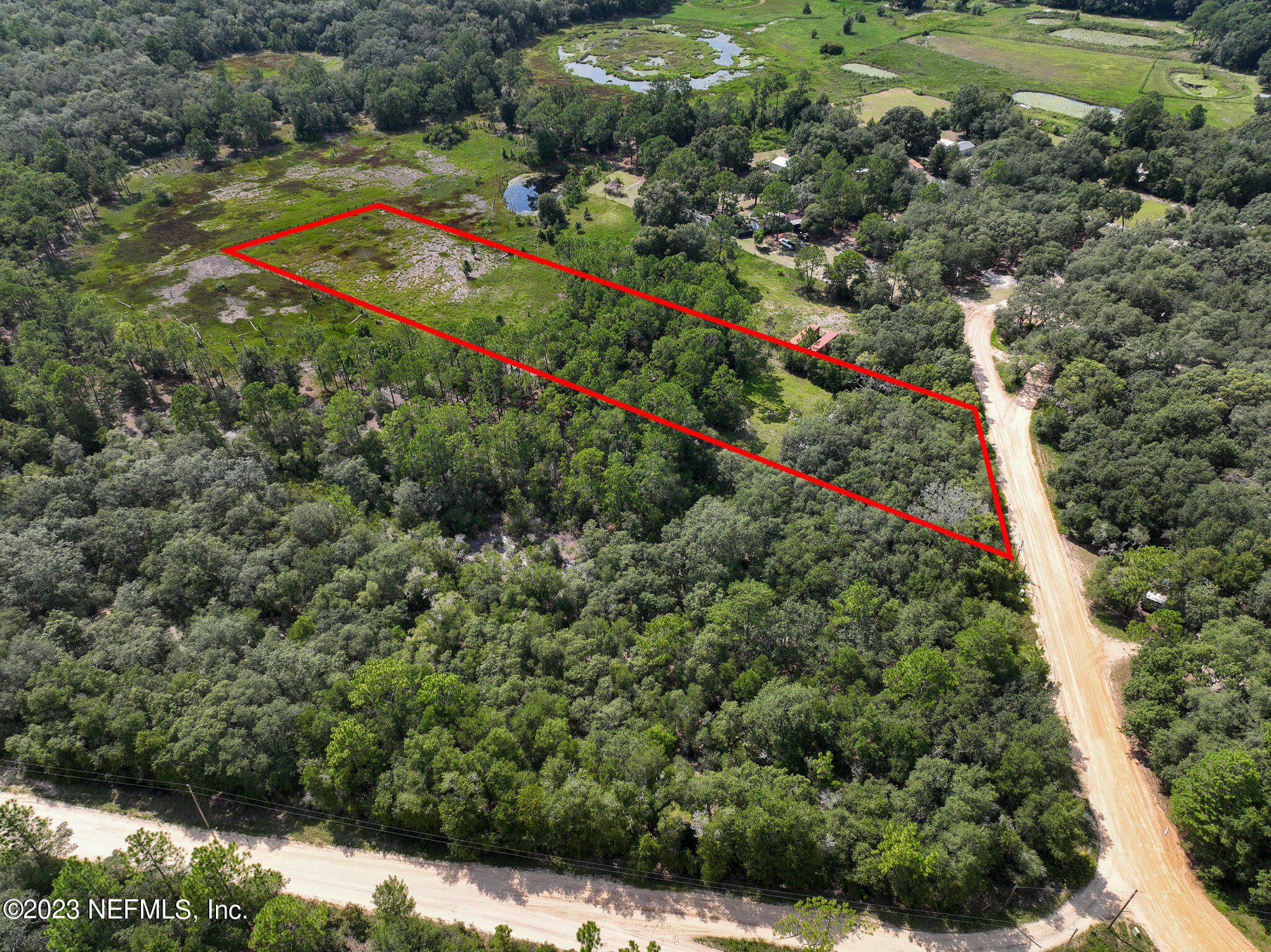 8146 Blazing Star Road Melrose, FL 32666 - Photo 5 of 19 a view of a lush green forest with lots of trees