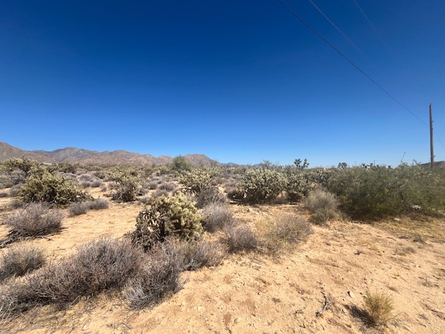 11108 Alvis Road Yucca, AZ 86438 - Photo 12 of 20