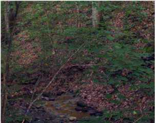 1 Ramblin Road Mount Washington, KY 40047 - Photo 1 of 1 Primary Photo