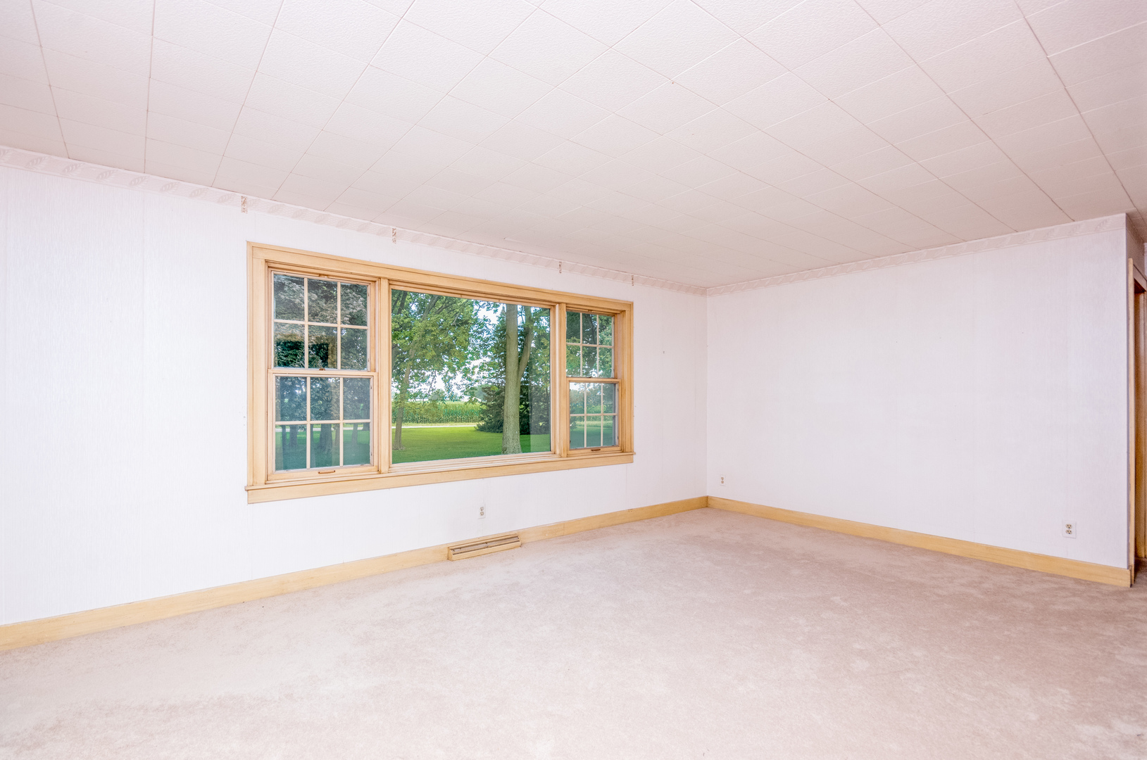14247 Sears Road Plano, IL 60545 - Photo 16 of 34