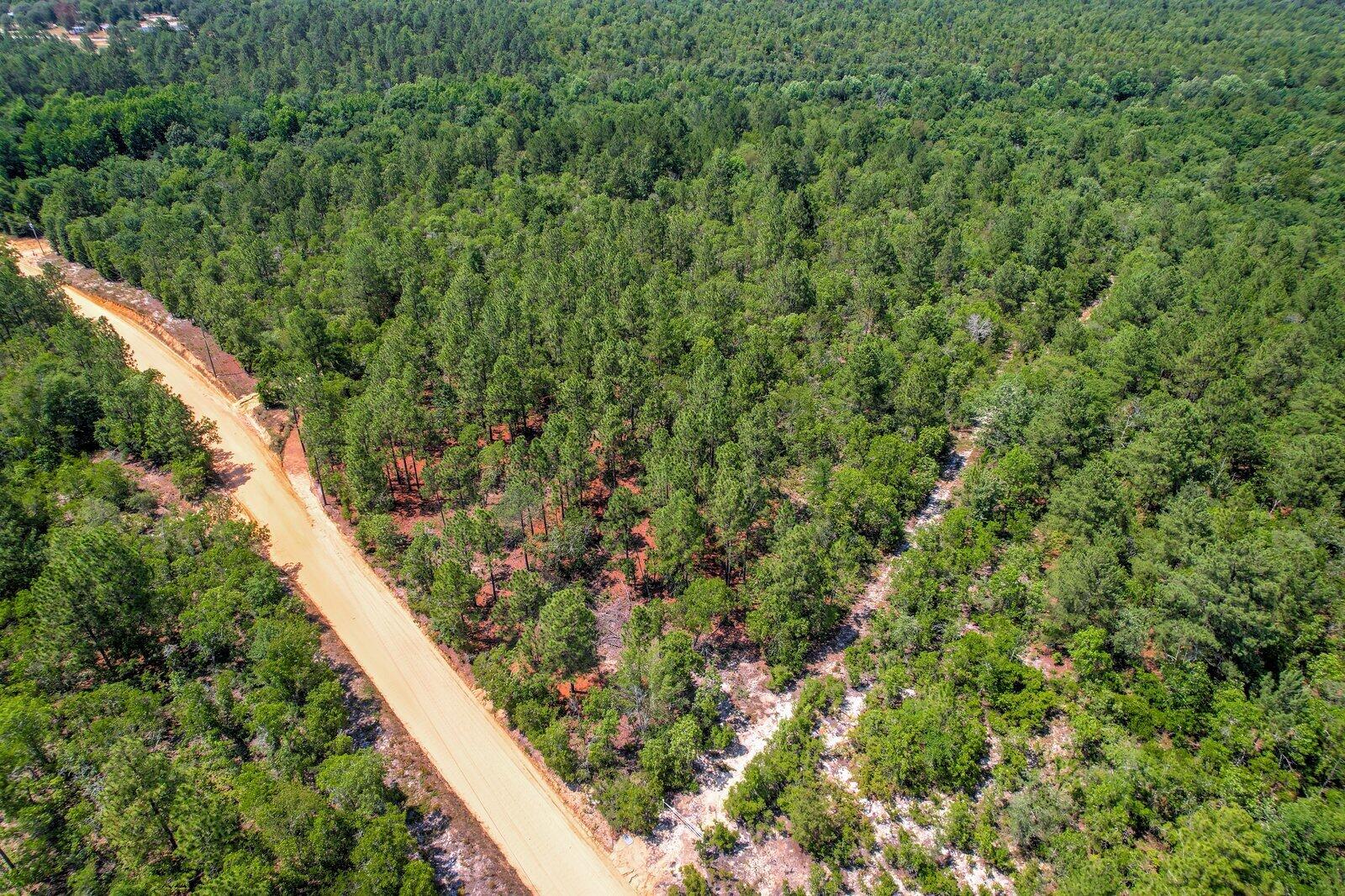 0 Big Branch Road Aiken, SC 29805 - Photo 5 of 14
