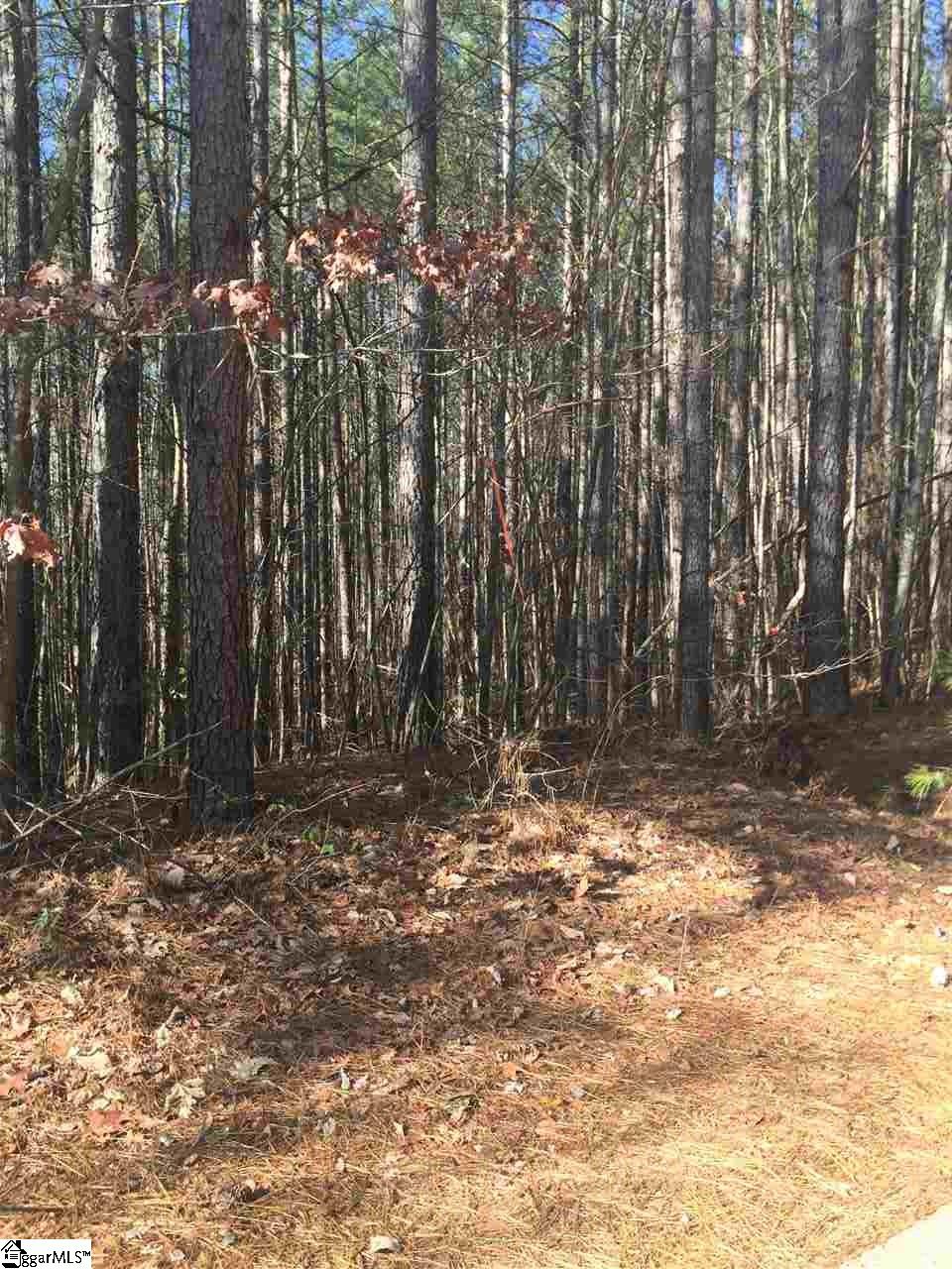 0 Belk Road Travelers Rest, SC 29690 - Photo 2 of 15 Gallery Image 2