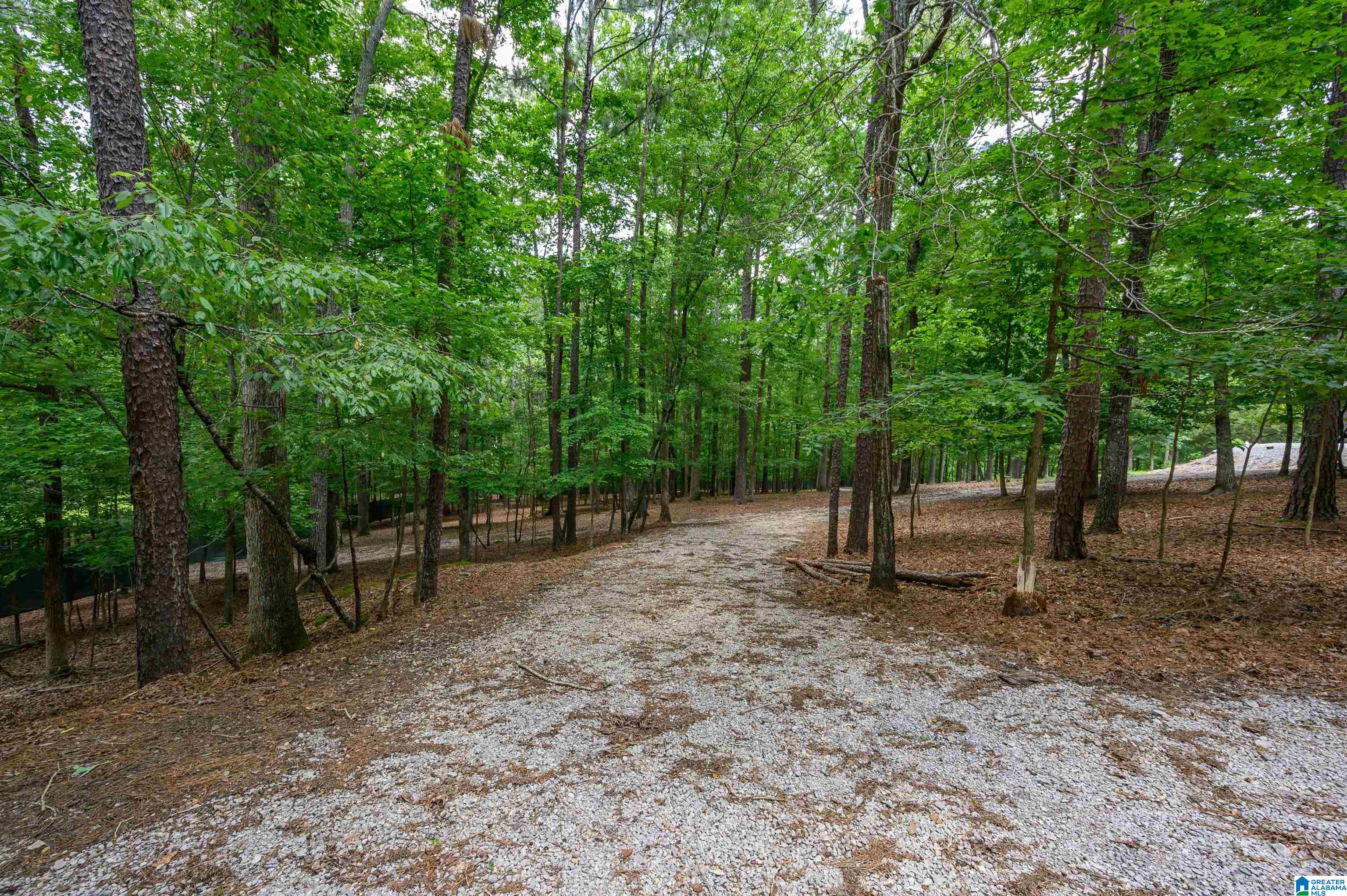 517 Hodgens Road Chelsea, AL 35043 - Photo 54 of 79