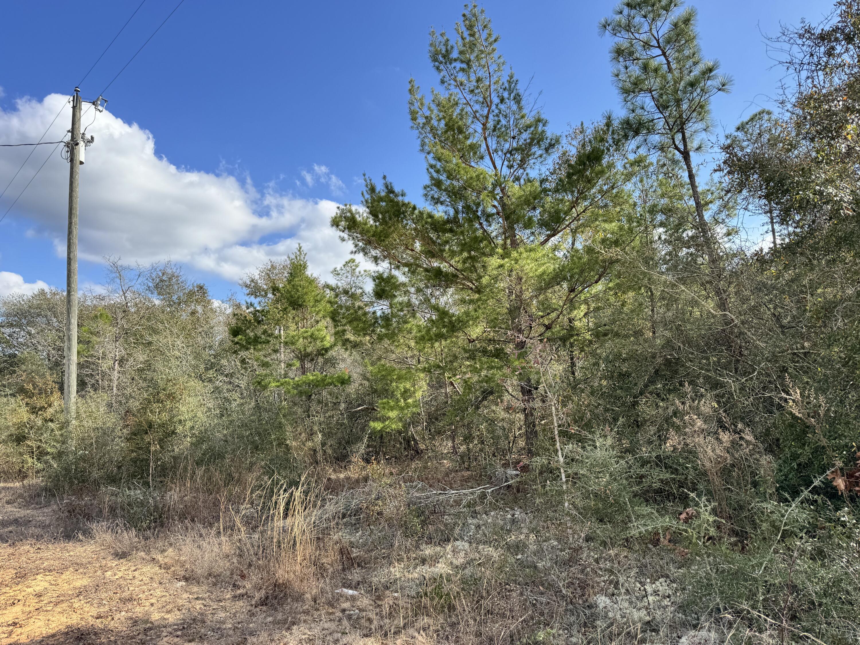 4608 Bobolink Way Crestview, FL 32539 - Photo 1 of 5 a view of a yard