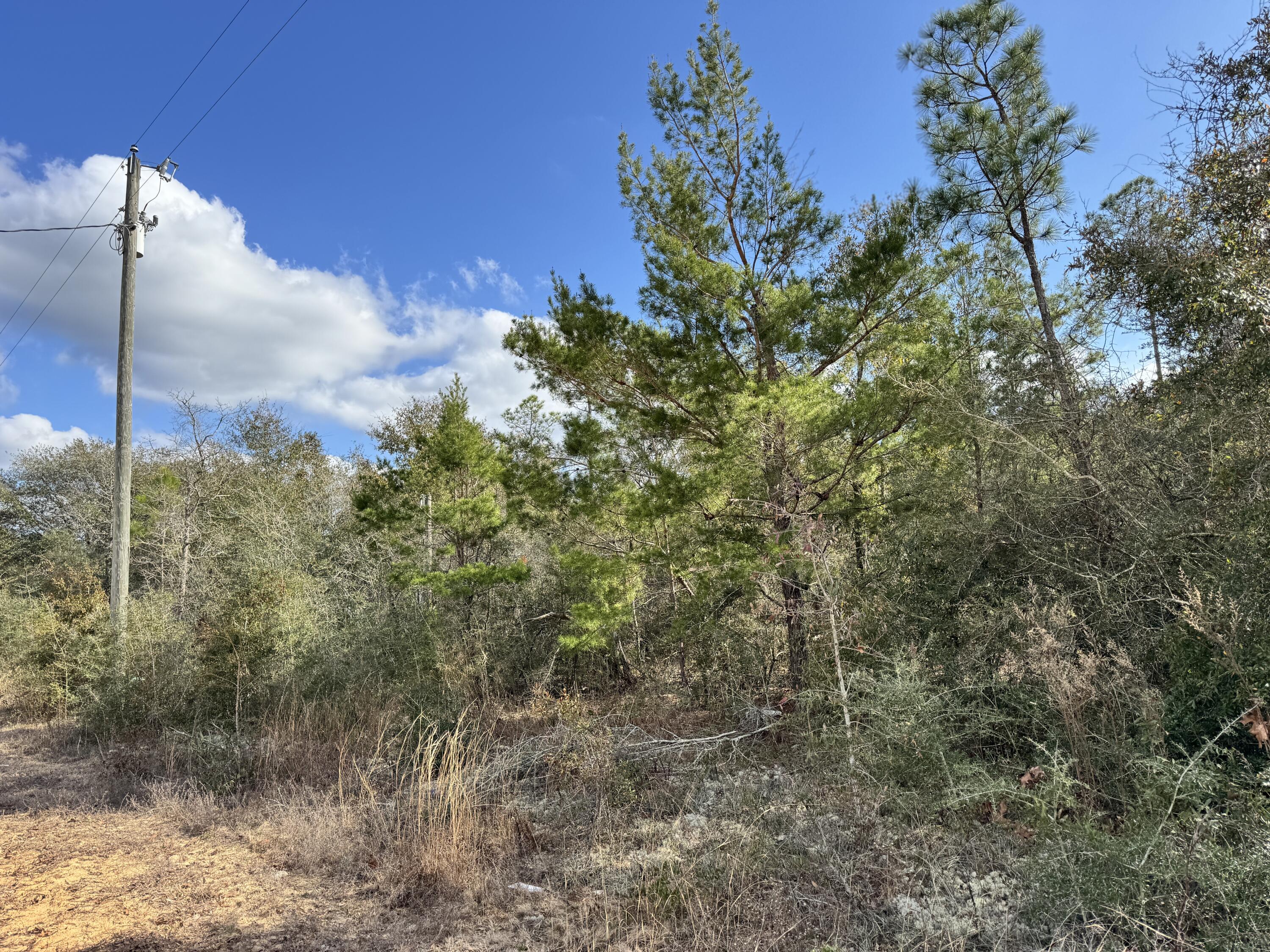 4608 Bobolink Way Crestview, FL 32539 - Photo 4 of 5 a view of a yard