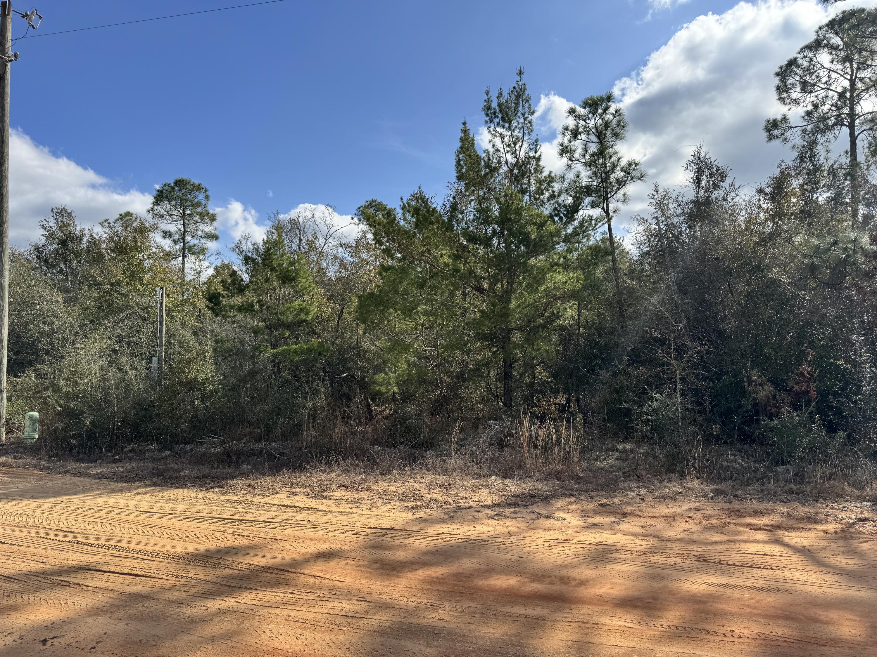 4608 Bobolink Way Crestview, FL 32539 - Photo 5 of 5 a view of a yard with a tree