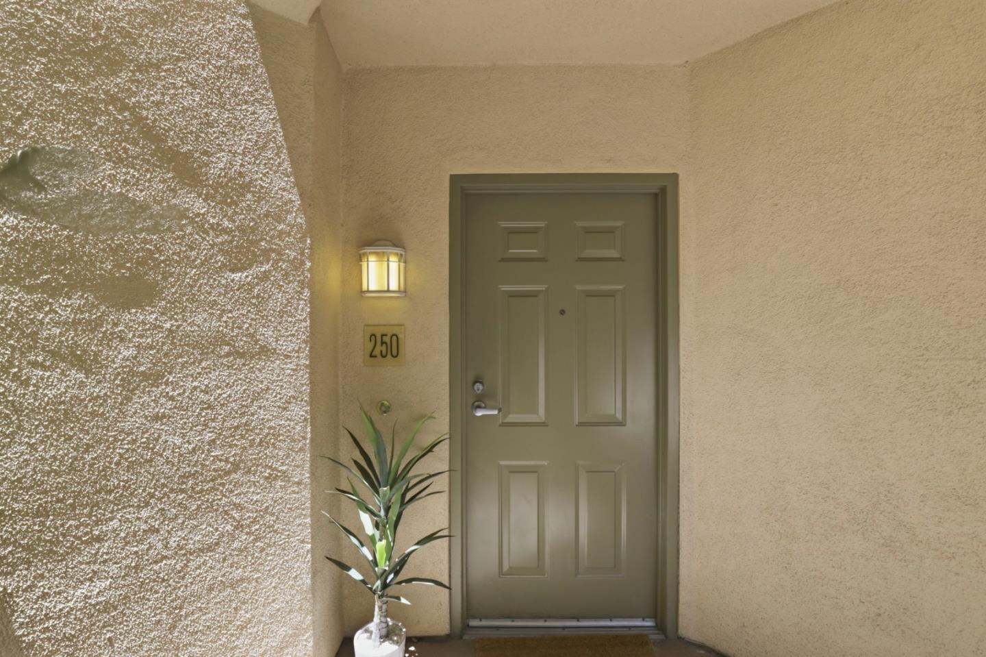 1310 Saddle Rack Street, Unit 250 San Jose, CA 95126 - Photo 3 of 34
