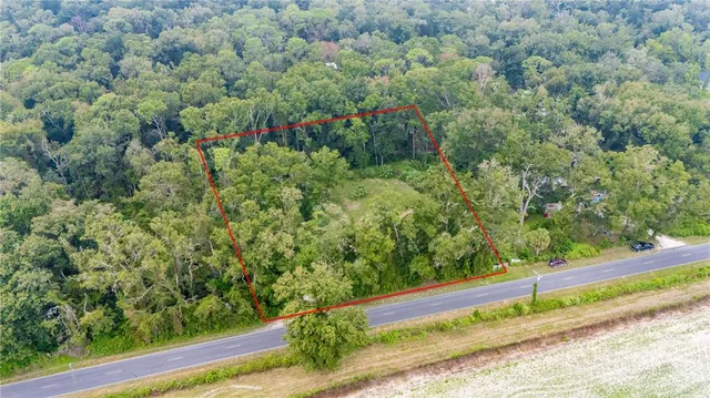 a view of a bench in a forest