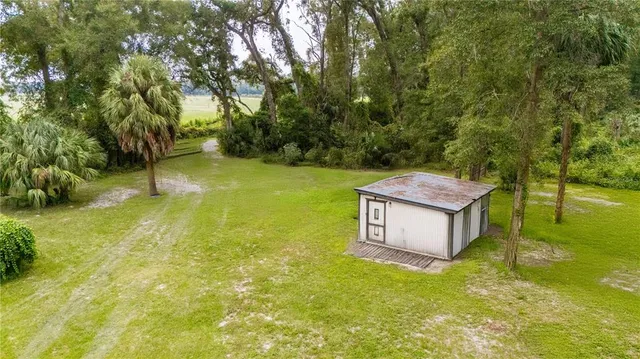 a picture of a yard with a tree