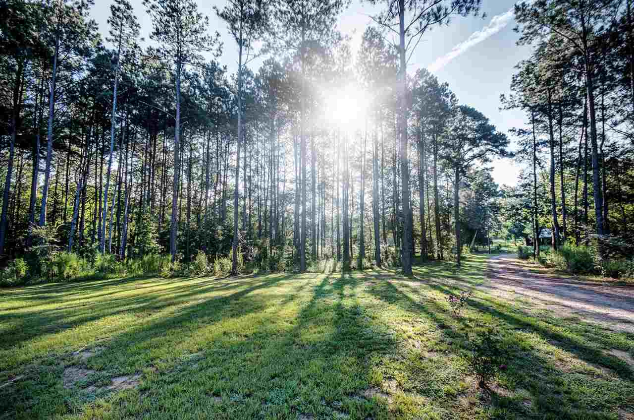 276 Pine Tree Lane Ridgeland, MS 39157 - Photo 3 of 31 Photo 3