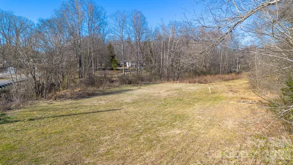 a view of yard with trees