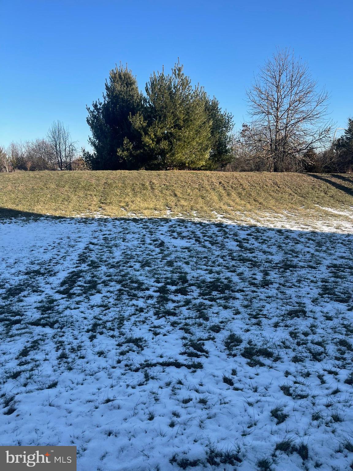 62 Springfield Circle Middletown, DE 19709 - Photo 5 of 37 a view of a yard with trees