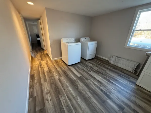 a view of a forest with lots of trees