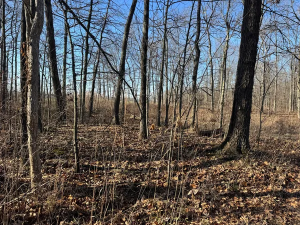 a view of outdoor space with lots of trees