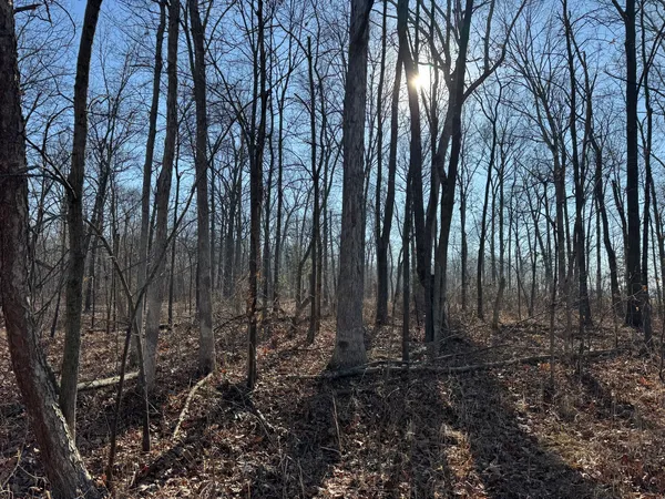 a view of a room with a projector