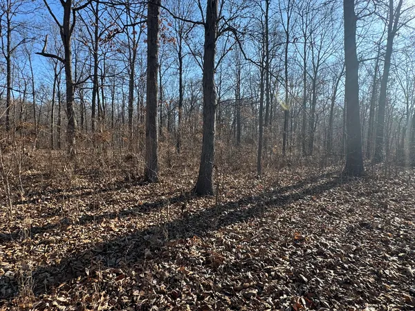 $299,900 | 1981 Watercress Lane, Flora, IL 62839