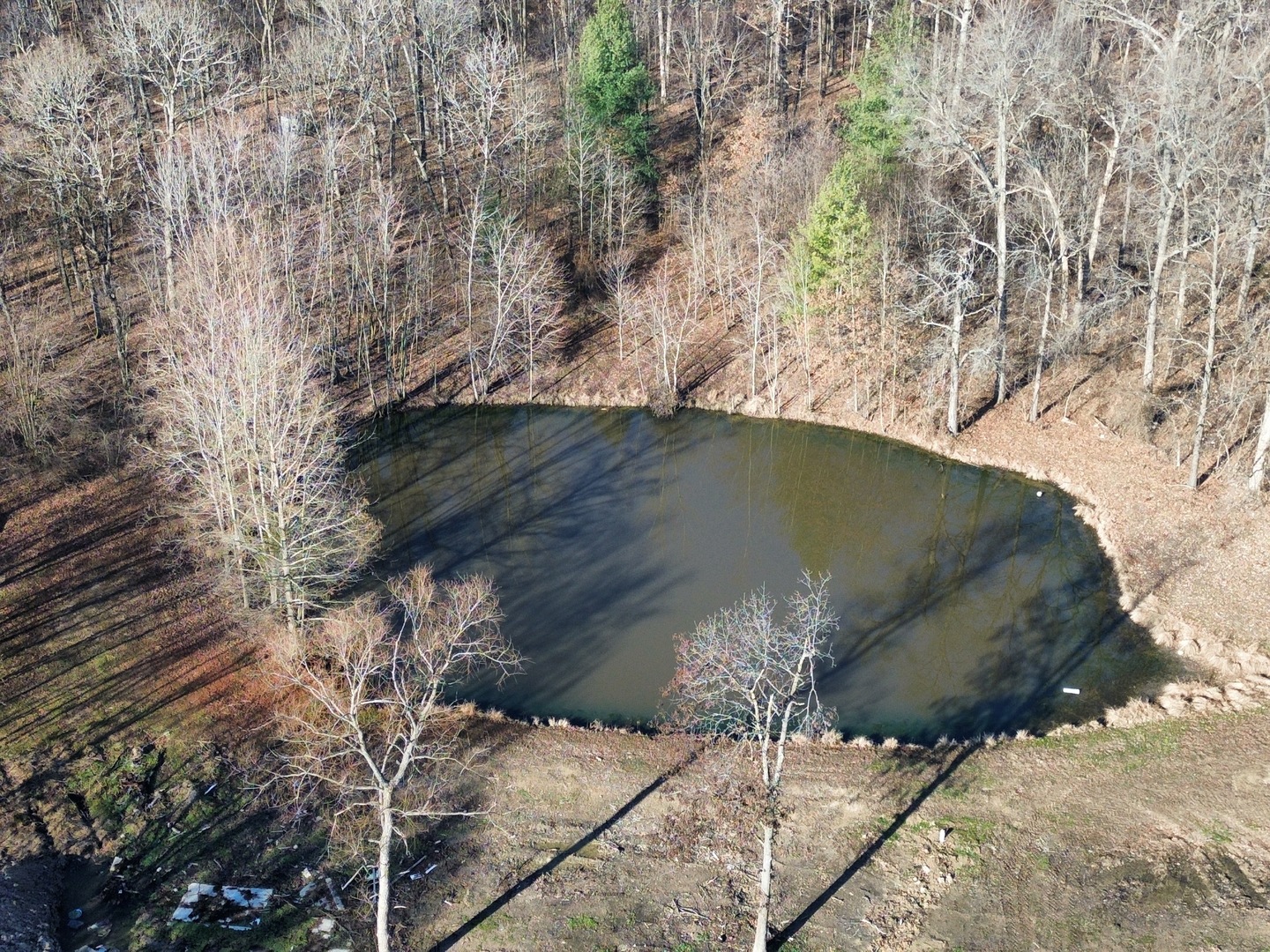 1981 Watercress Lane Flora, IL 62839 - Photo 56 of 76 a view of a yard