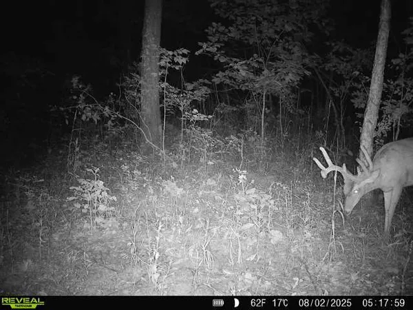 $299,900 | 1981 Watercress Lane, Flora, IL 62839