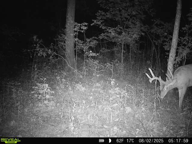 1981 Watercress Lane Flora, IL 62839 - Photo 68 of 76