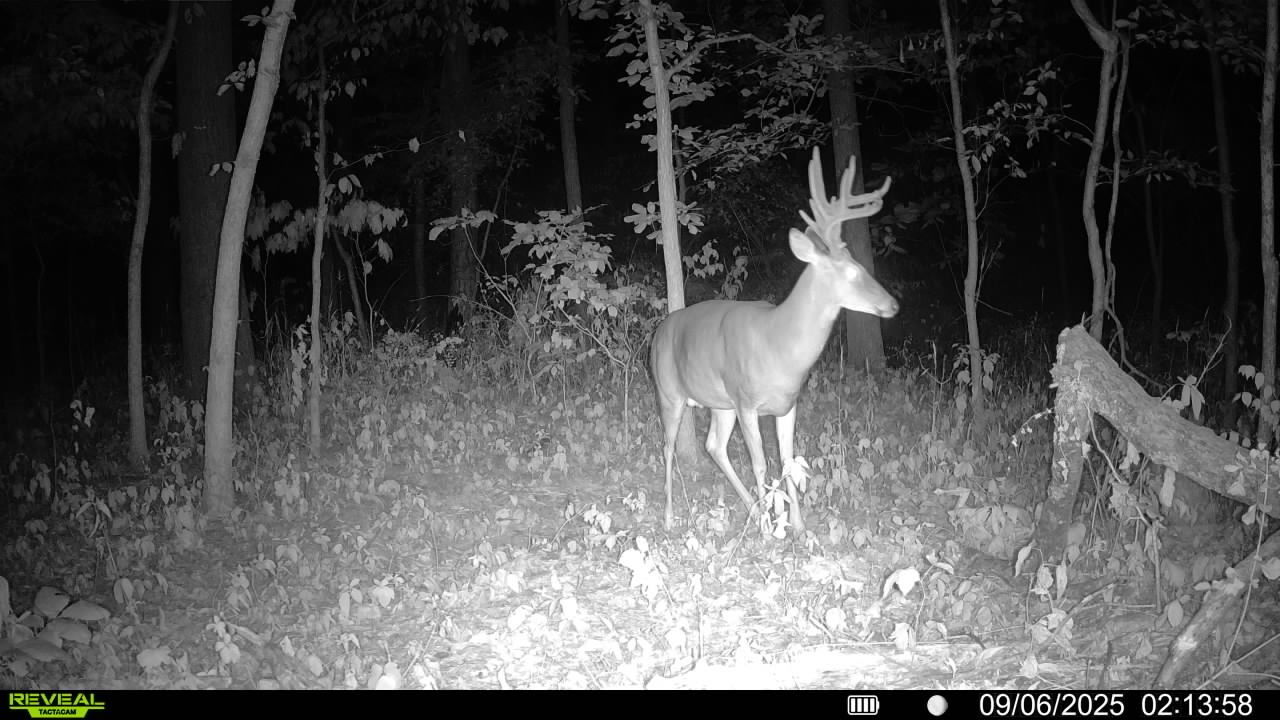 1981 Watercress Lane Flora, IL 62839 - Photo 69 of 76 a view of outdoor space and patio