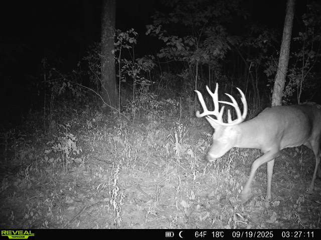 1981 Watercress Lane Flora, IL 62839 - Photo 71 of 76