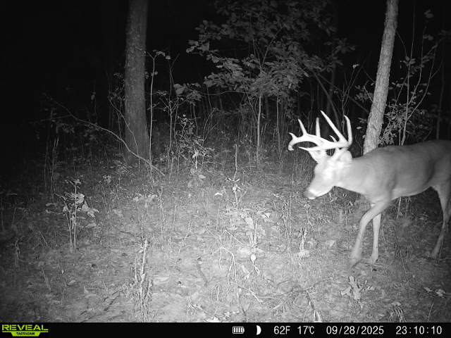 1981 Watercress Lane Flora, IL 62839 - Photo 72 of 76