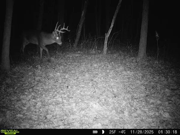 $299,900 | 1981 Watercress Lane, Flora, IL 62839