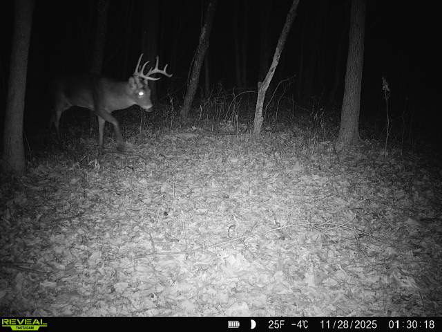 1981 Watercress Lane Flora, IL 62839 - Photo 73 of 76 a view of an outdoor space