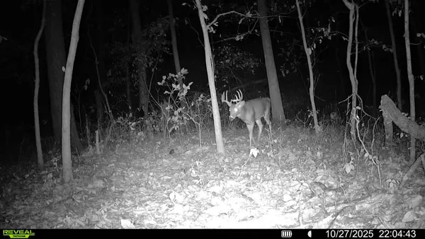 $299,900 | 1981 Watercress Lane, Flora, IL 62839