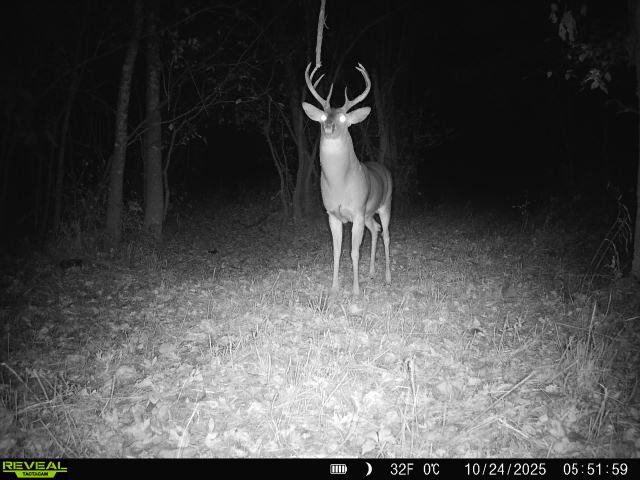 1981 Watercress Lane Flora, IL 62839 - Photo 76 of 76 a view of a room with a projector