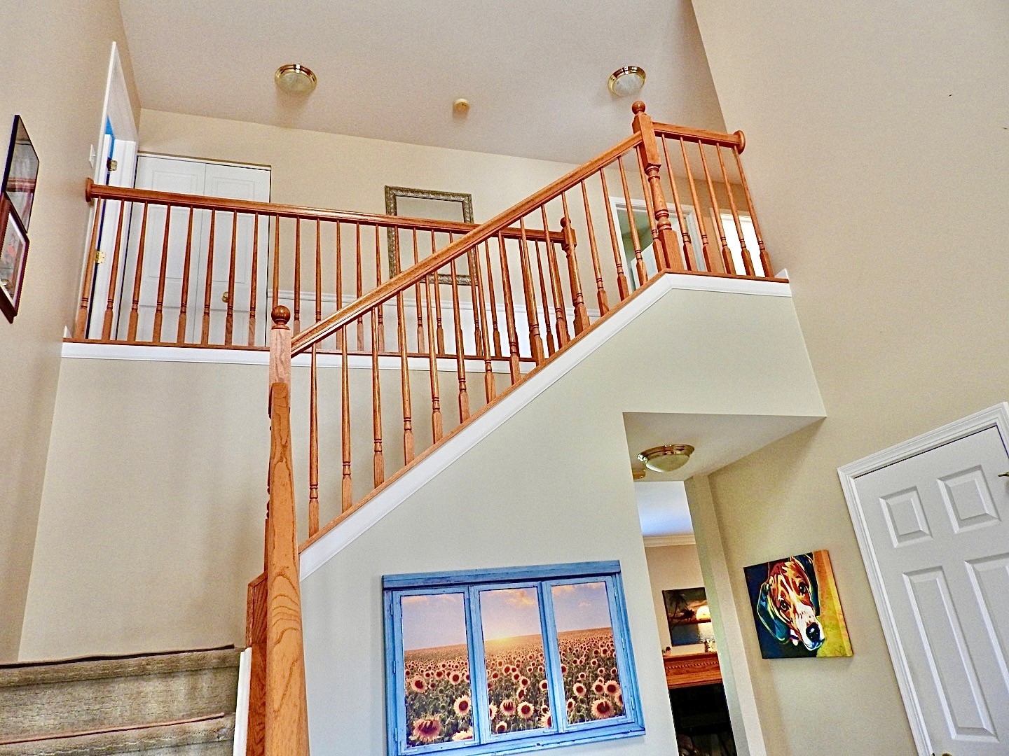 923 Limerick Lane McHenry, IL 60050 - Photo 5 of 18 a view of entryway with a front door