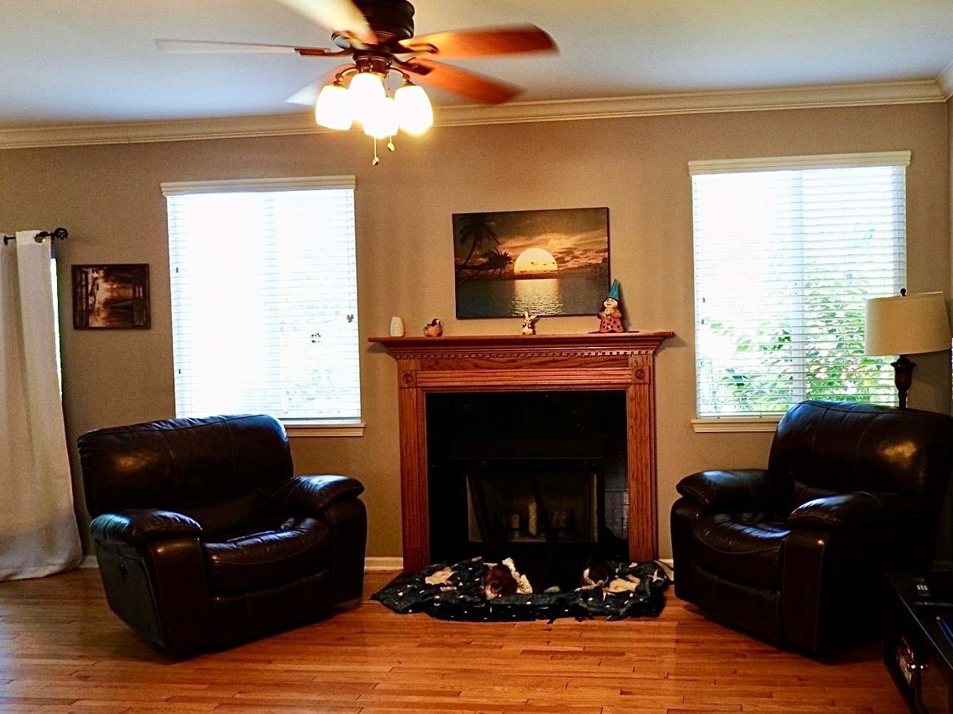 923 Limerick Lane McHenry, IL 60050 - Photo 7 of 18 a living room with furniture and a fireplace