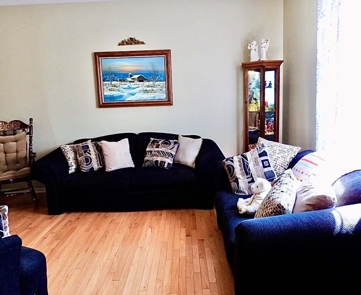 923 Limerick Lane McHenry, IL 60050 - Photo 10 of 18 a living room with furniture bathtub and a window