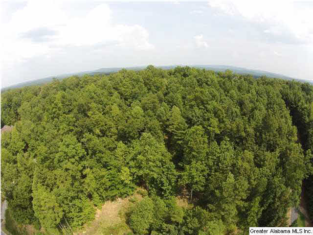 2089 Liv Drive, Unit 314 Trussville, AL 35173 - Photo 2 of 7