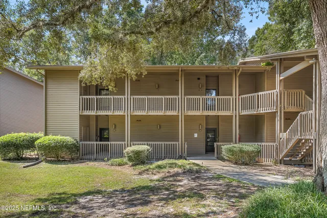 a view of a backyard with plants and large trees