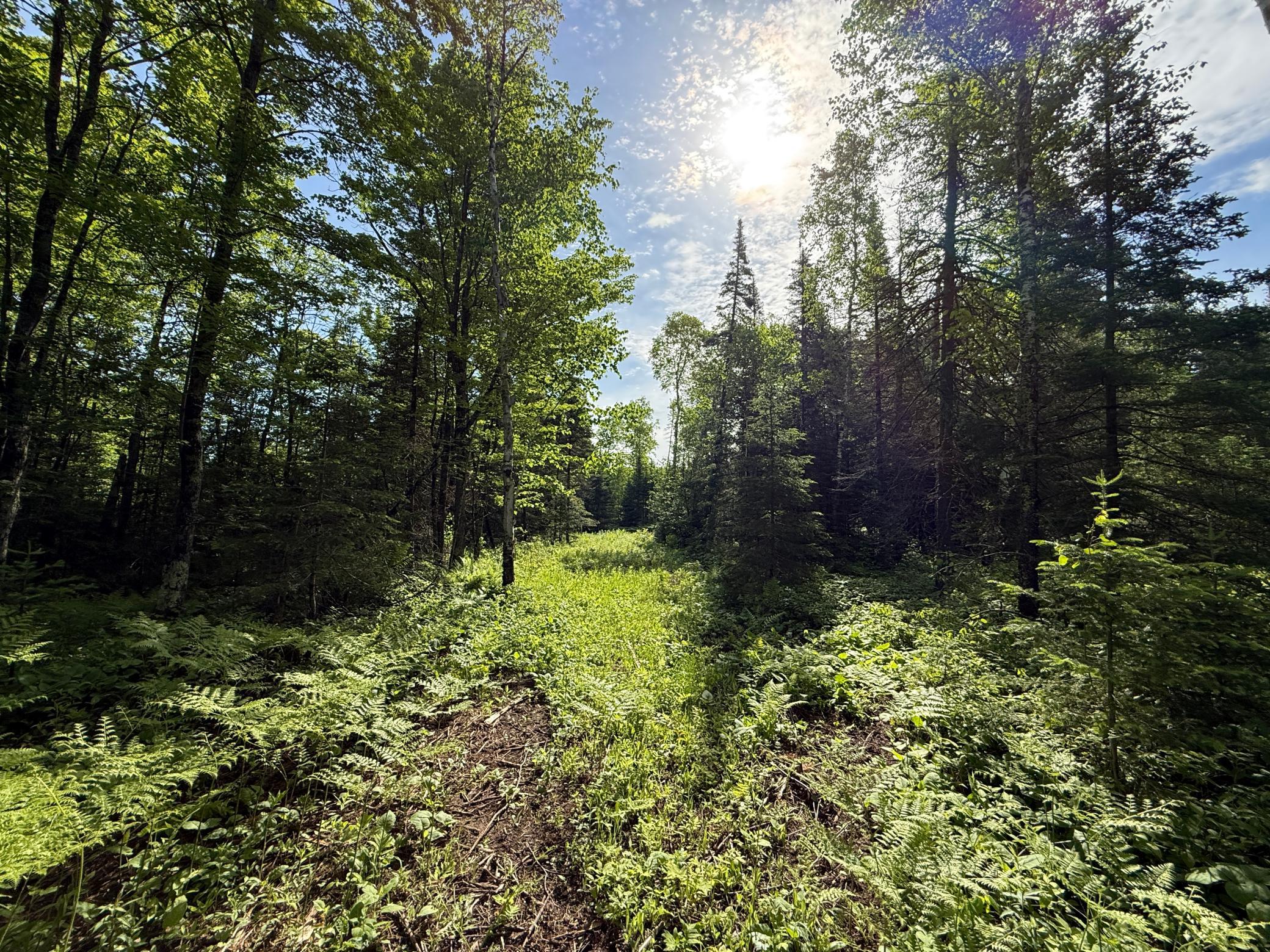 Tbd Arnold Road Duluth, MN 55803 - Photo 13 of 35