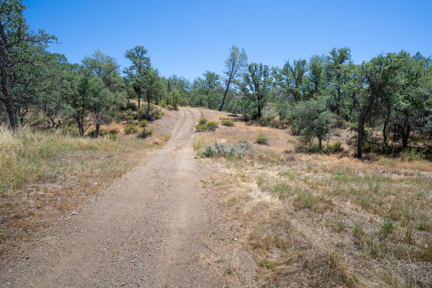 20505 Coalinga Road Paicines, CA 95043 - Photo 74 of 88