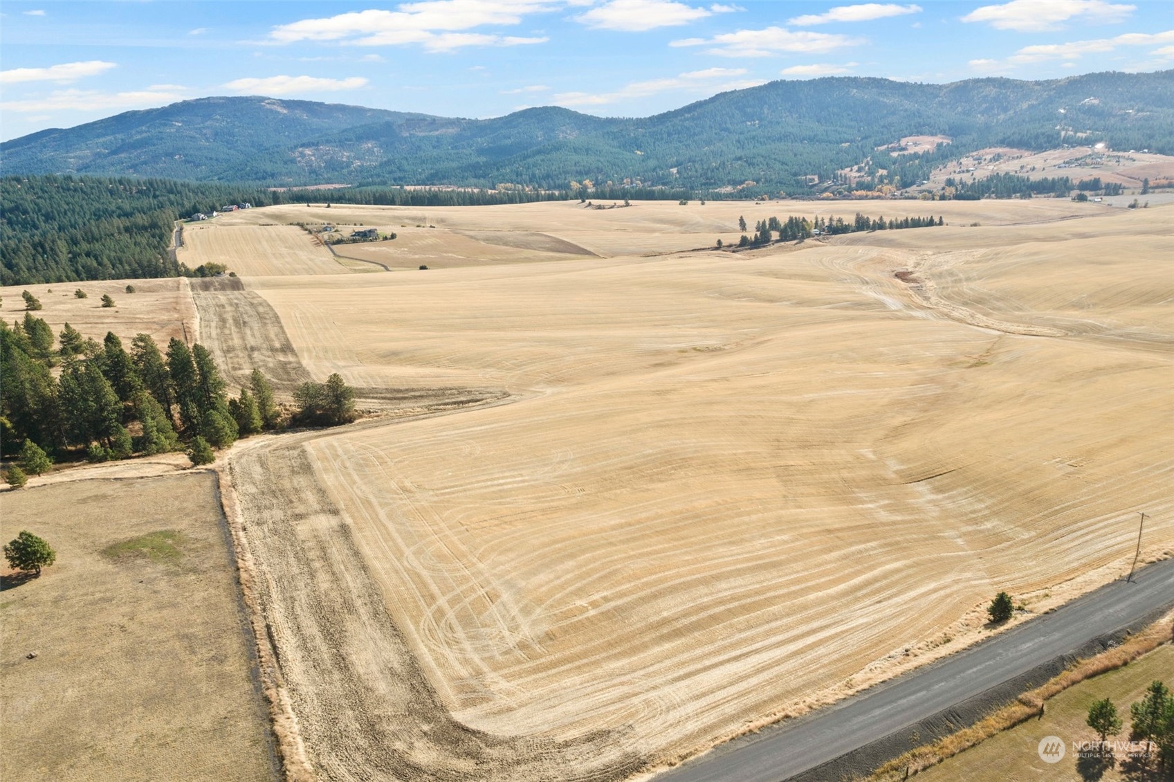 0 South Jackson Road Mica, WA 99023 - Photo 28 of 34