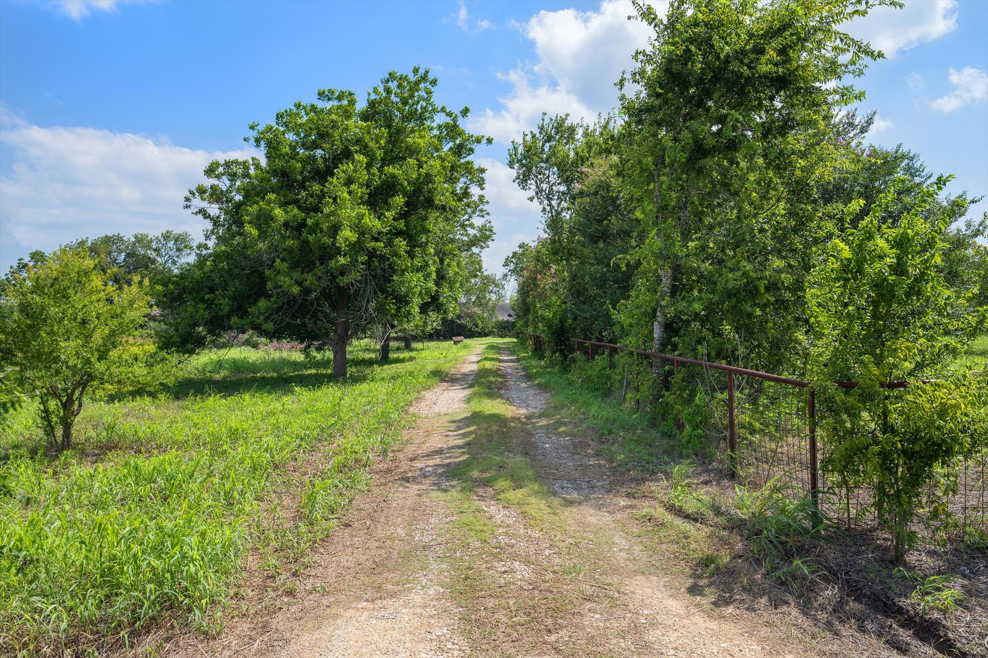 14201 Lund - Carlson Road Coupland, TX 78615 - Photo 11 of 40 A private driveway guides through lush greenery towards a secluded property under an open sky.