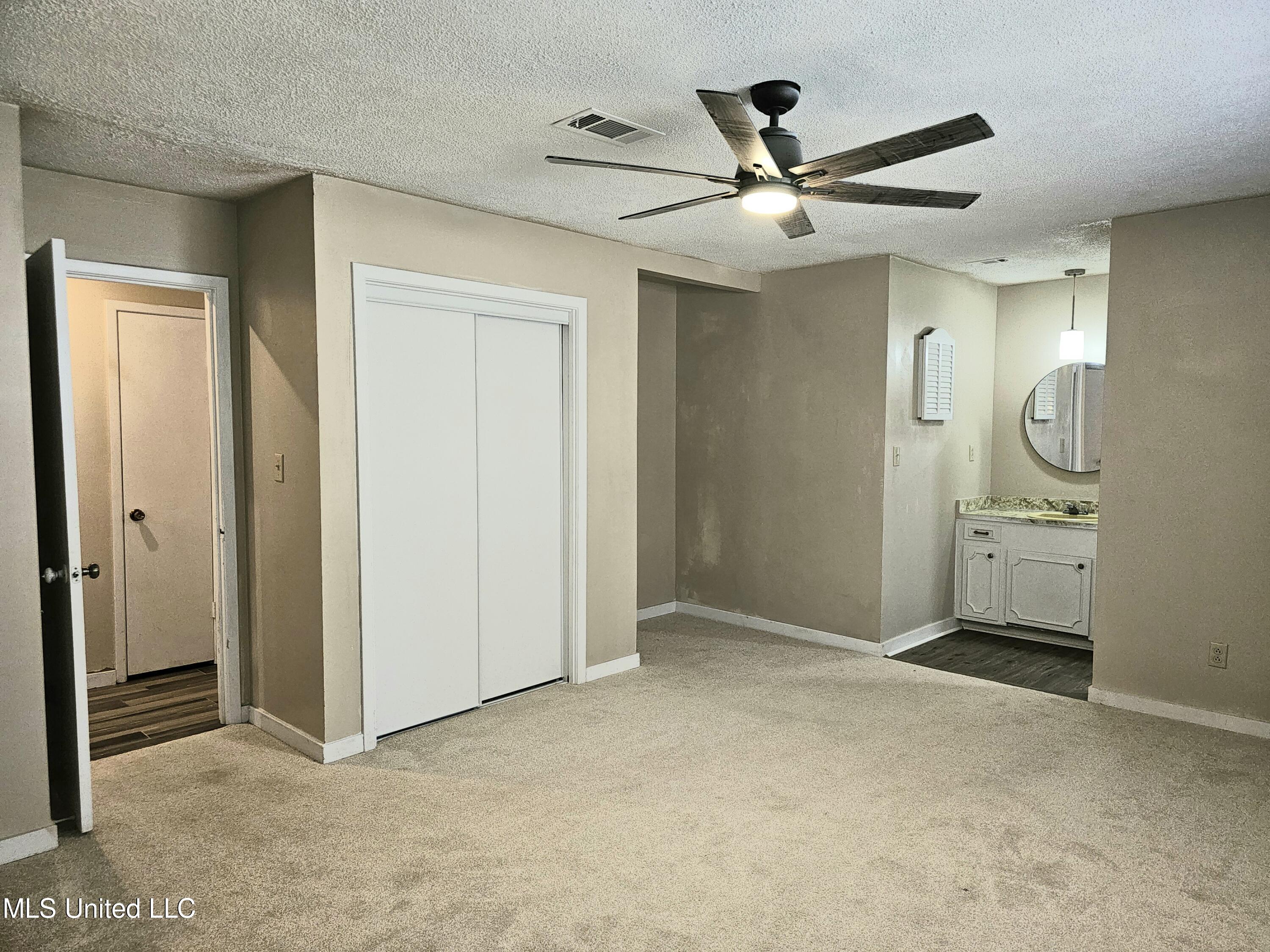 55 Fern Valley Road Brandon, MS 39042 - Photo 17 of 19 Master BR Closet