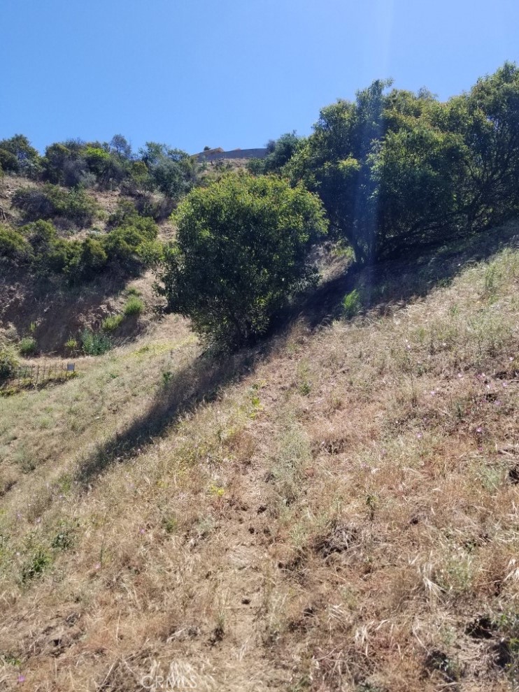 2537 Woodstock Road Los Angeles, CA 90046 - Photo 9 of 13