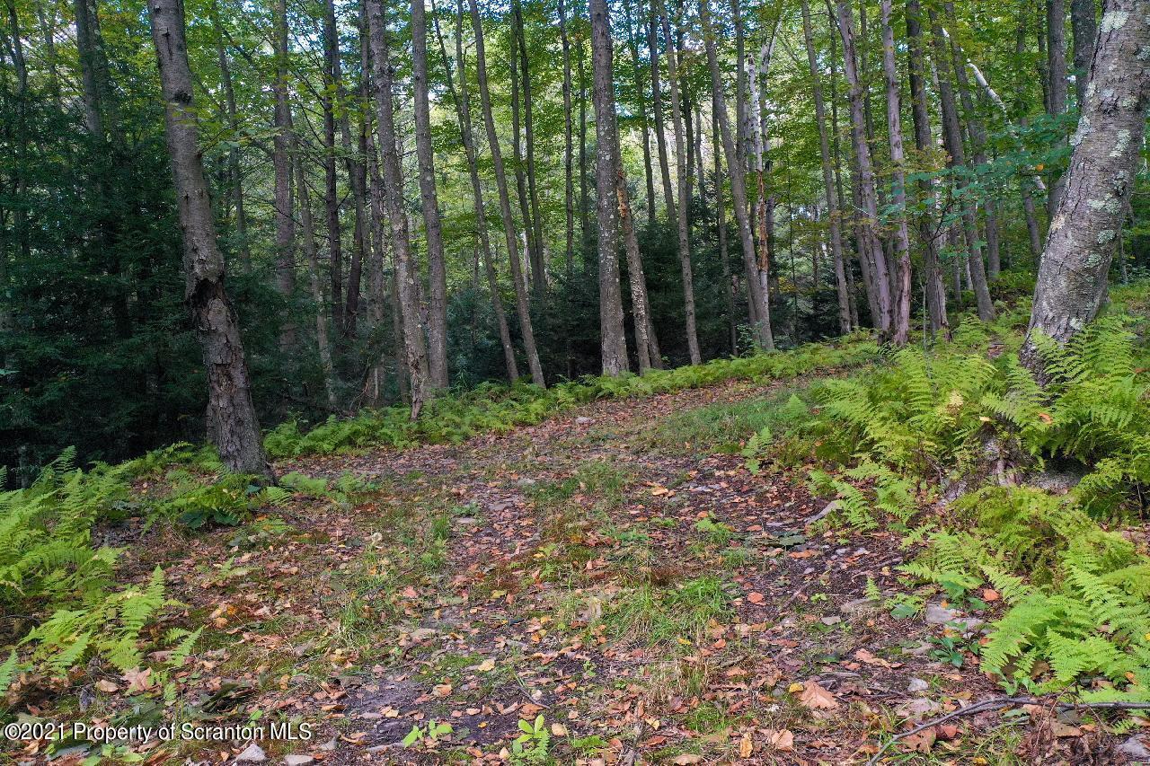 2496 Cherry Hill Road Clarks Summit, PA 18411 - Photo 28 of 86 Gallery Image 28