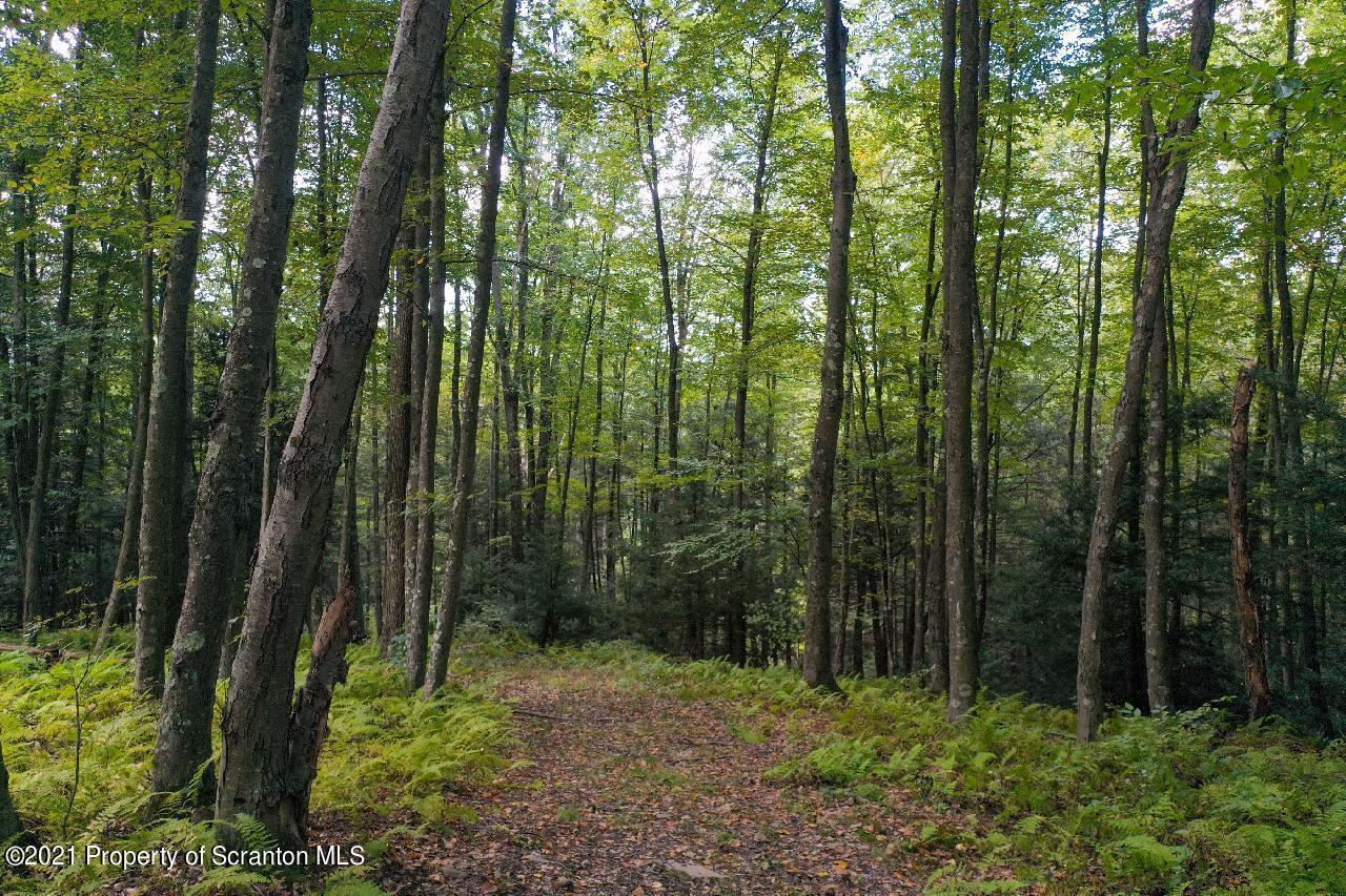 2496 Cherry Hill Road Clarks Summit, PA 18411 - Photo 29 of 86 Gallery Image 29