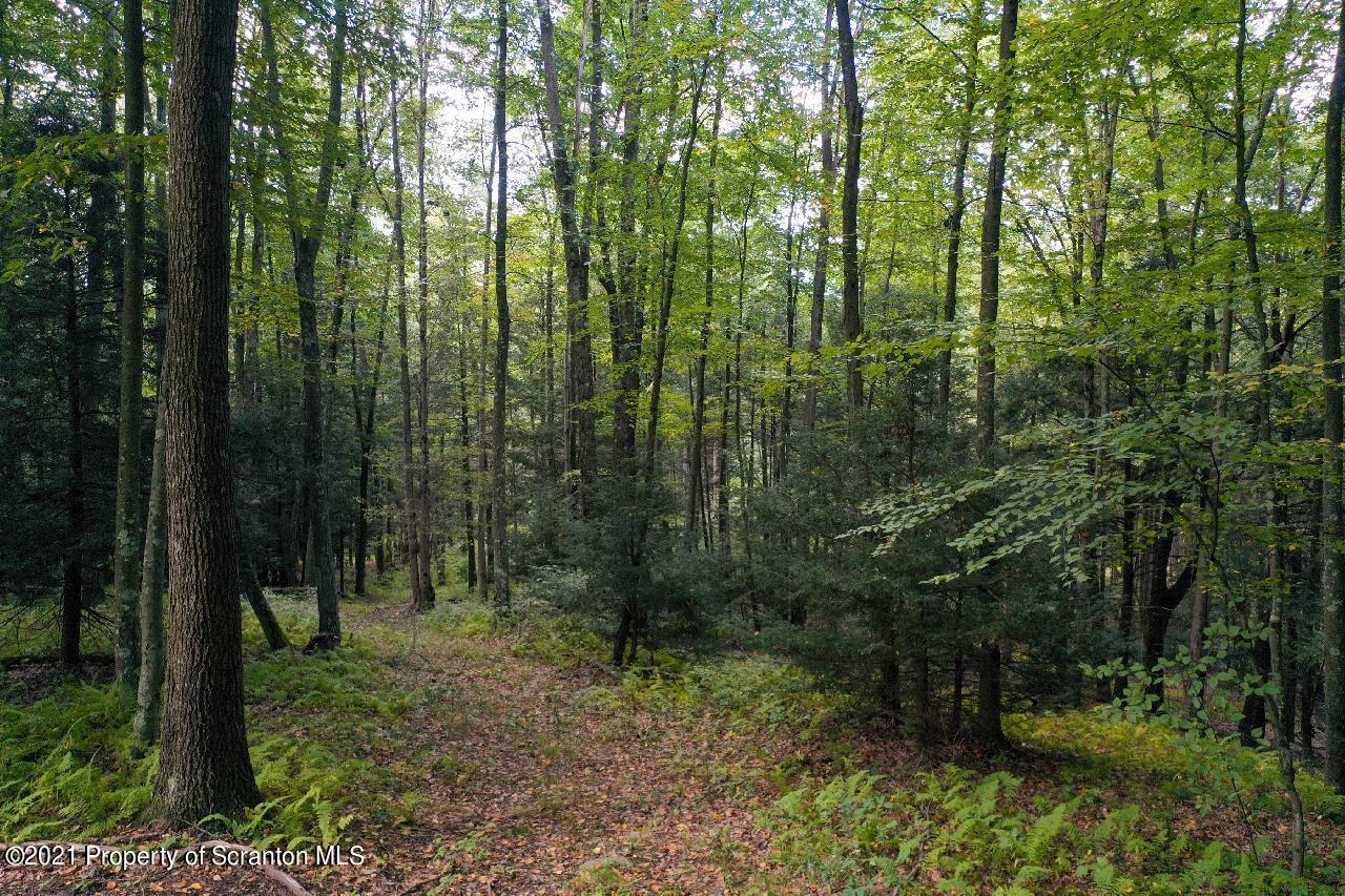 2496 Cherry Hill Road Clarks Summit, PA 18411 - Photo 30 of 86 Gallery Image 30