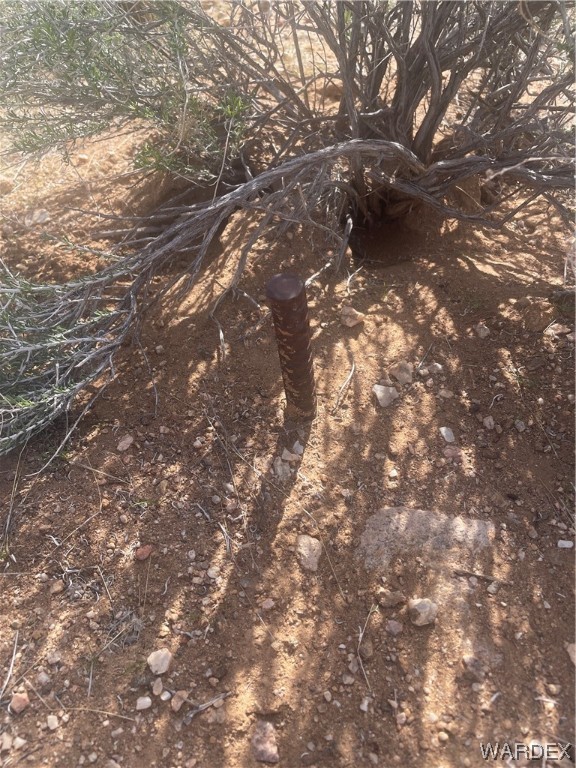 3999 Verde Road Golden Valley, AZ 86413 - Photo 6 of 18 a view of tree