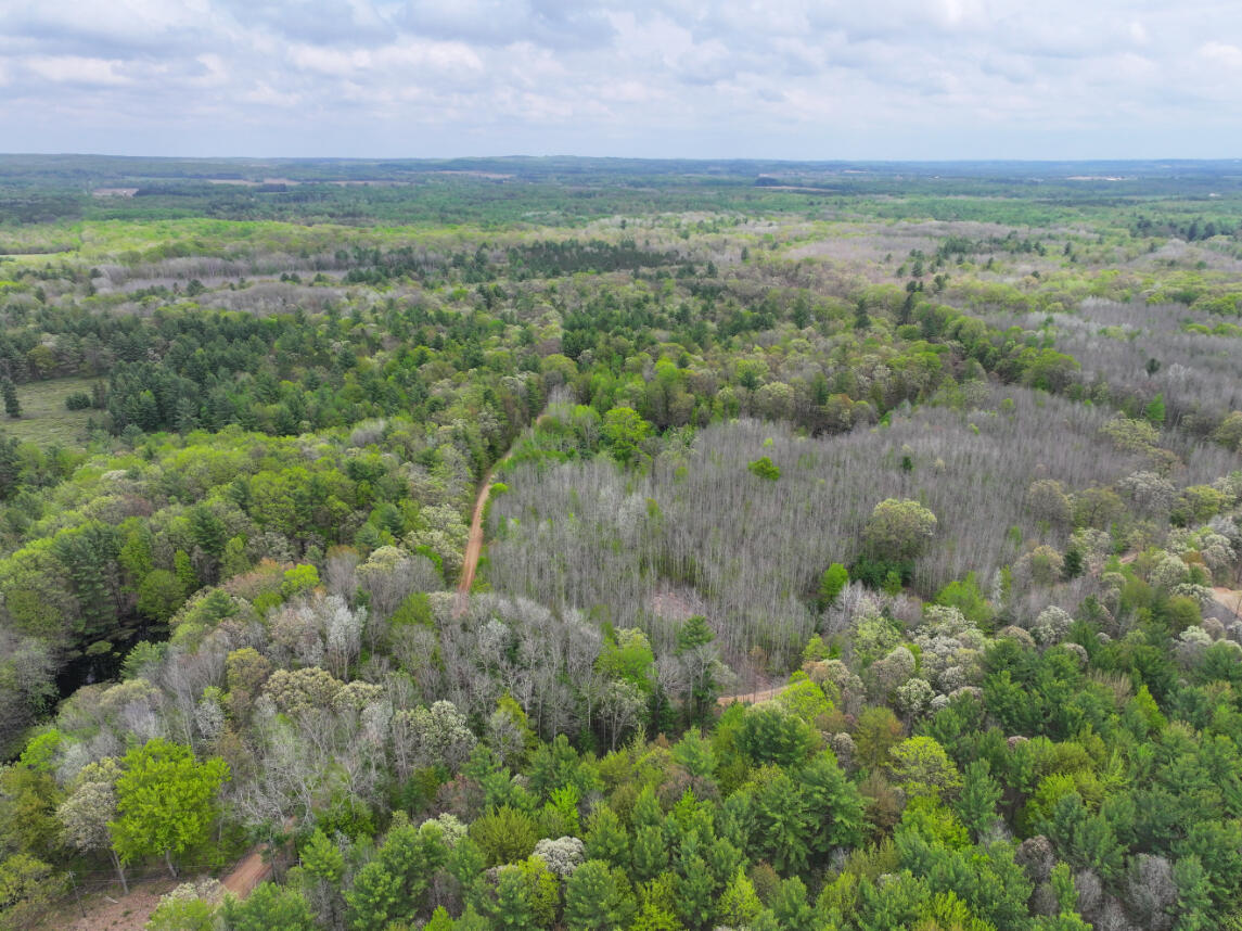 6.62 West Jefferson Road Pentwater, MI 49449 - Photo 8 of 21 DJI_20260512151531_0561_D