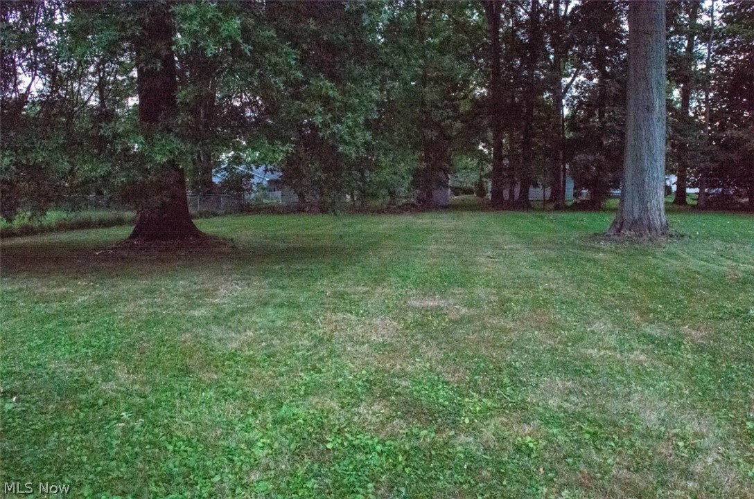 6714 Trenholm Road Youngstown, OH 44512 - Photo 20 of 22 View of yard