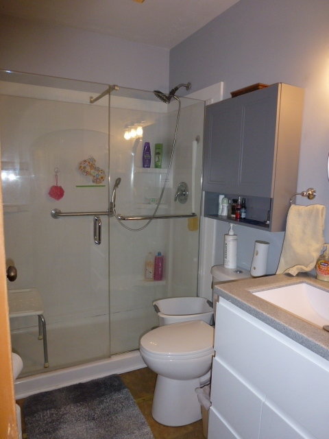 3 Deerefield Court Clinton, IL 61727 - Photo 16 of 29 a bathroom with a sink a toilet and shower