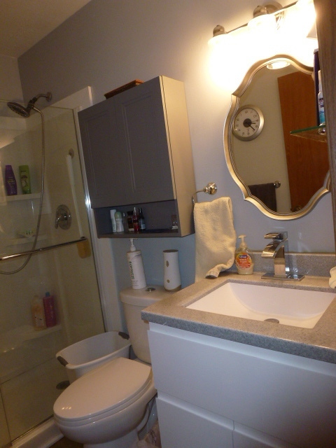3 Deerefield Court Clinton, IL 61727 - Photo 17 of 29 a bathroom with a toilet a sink and mirror