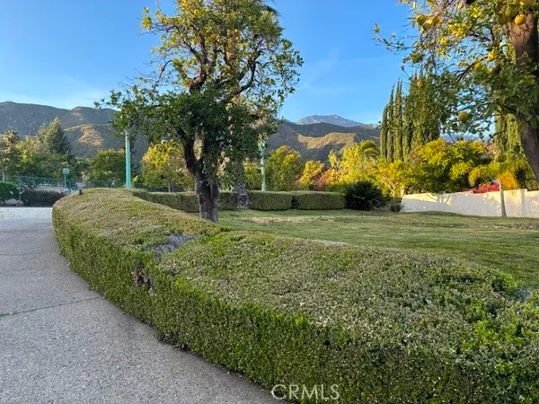 a view of a garden